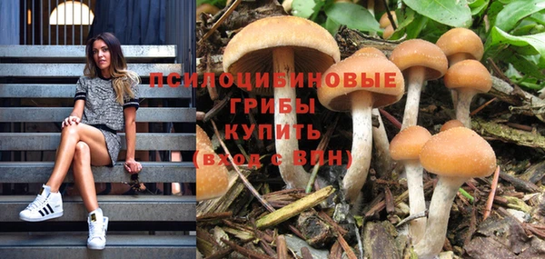 прущие крисы Верея