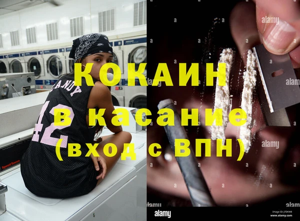 прущие крисы Верея