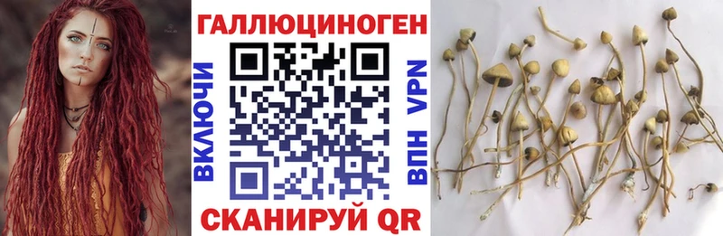 Галлюциногенные грибы Magic Shrooms  Сургут 